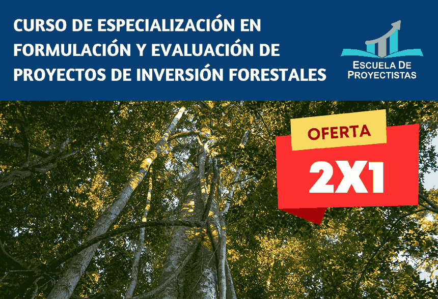 Curso de Especialización en Formulación y Evaluación de Proyectos de Inversión Forestales